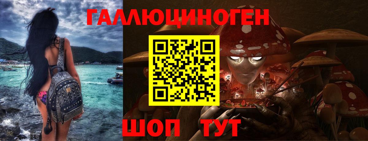наркотики  Псилоцибиновые грибы Psilocybe  Вход с VPN  Пугачёв 